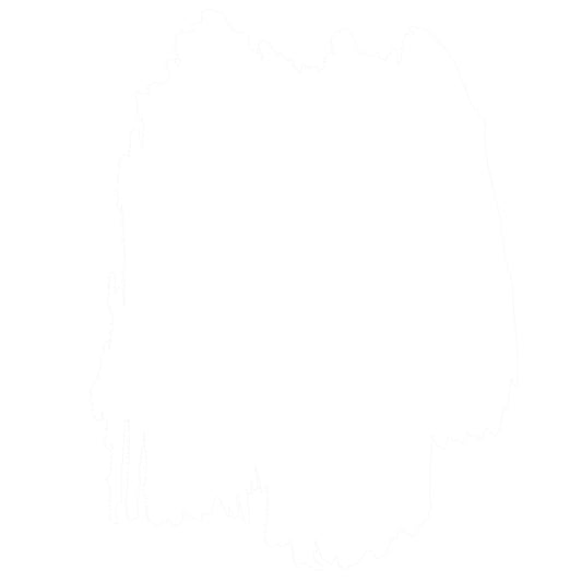 Cabinet Coating - Quart  (Bright White)